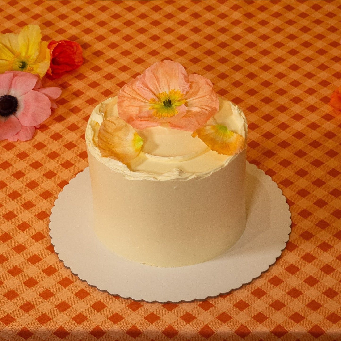 Vegan Chocolate, hazelnut & peanut butter